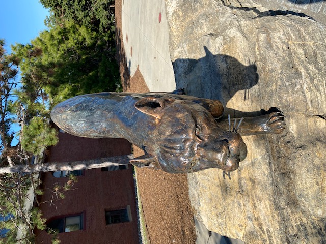 Photo of a catamount statue on UVM campus