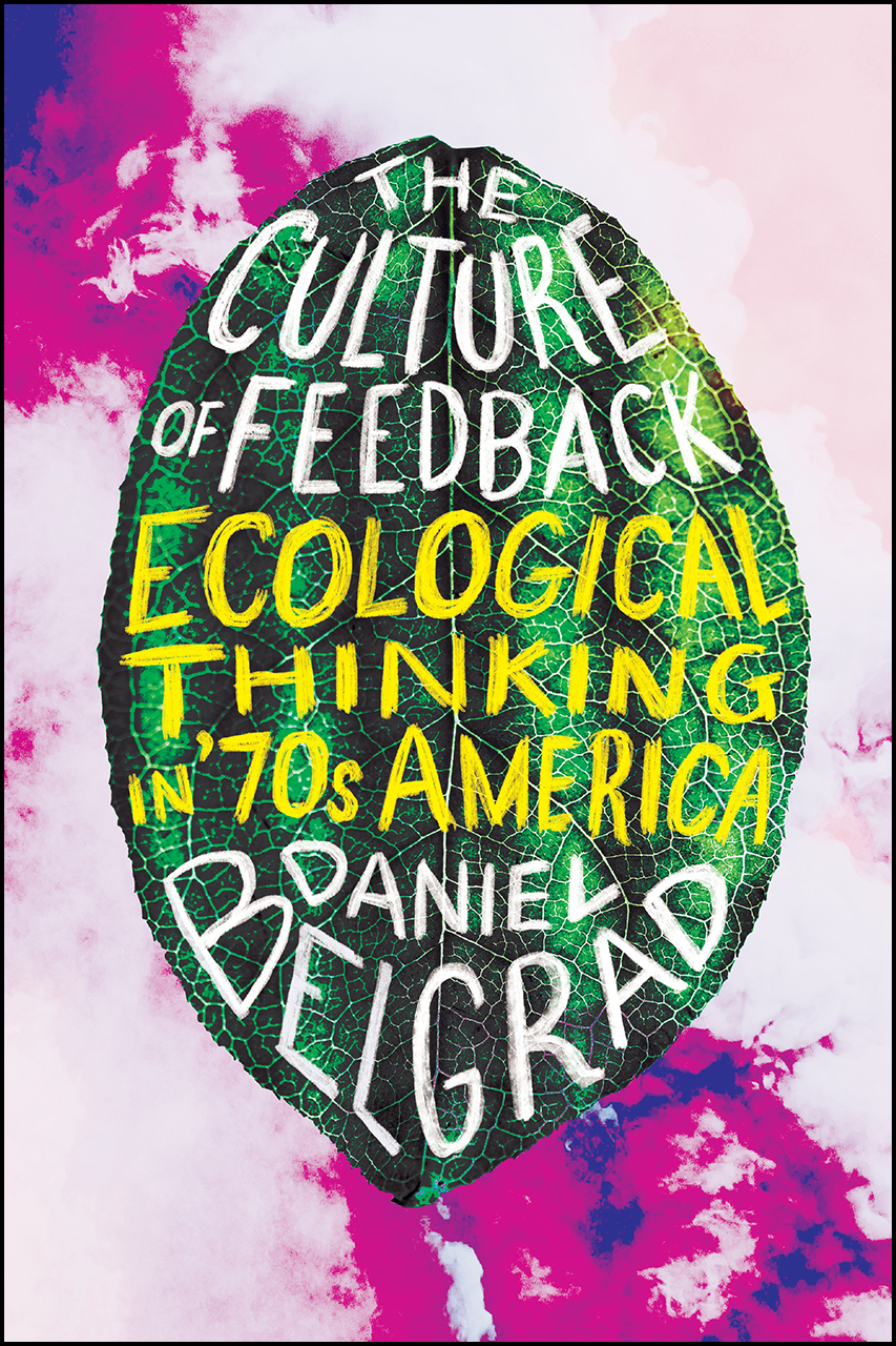 The Culture of Feedback: Ecological Thinking by Daniel Belgrad [book cover]